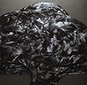 Baum VI